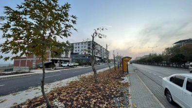 KOVANCILAR BELEDİYESİ AĞAÇ BUDAMA ÇALIŞMALARINA DEVAM EDİYOR